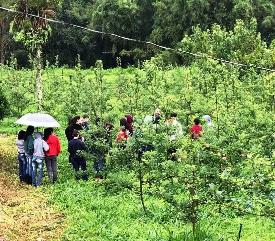 Alunos em visita à associação que fornece os alimentos de agricultura familiar para a merenda escolar. Foto: SRE Barbacena